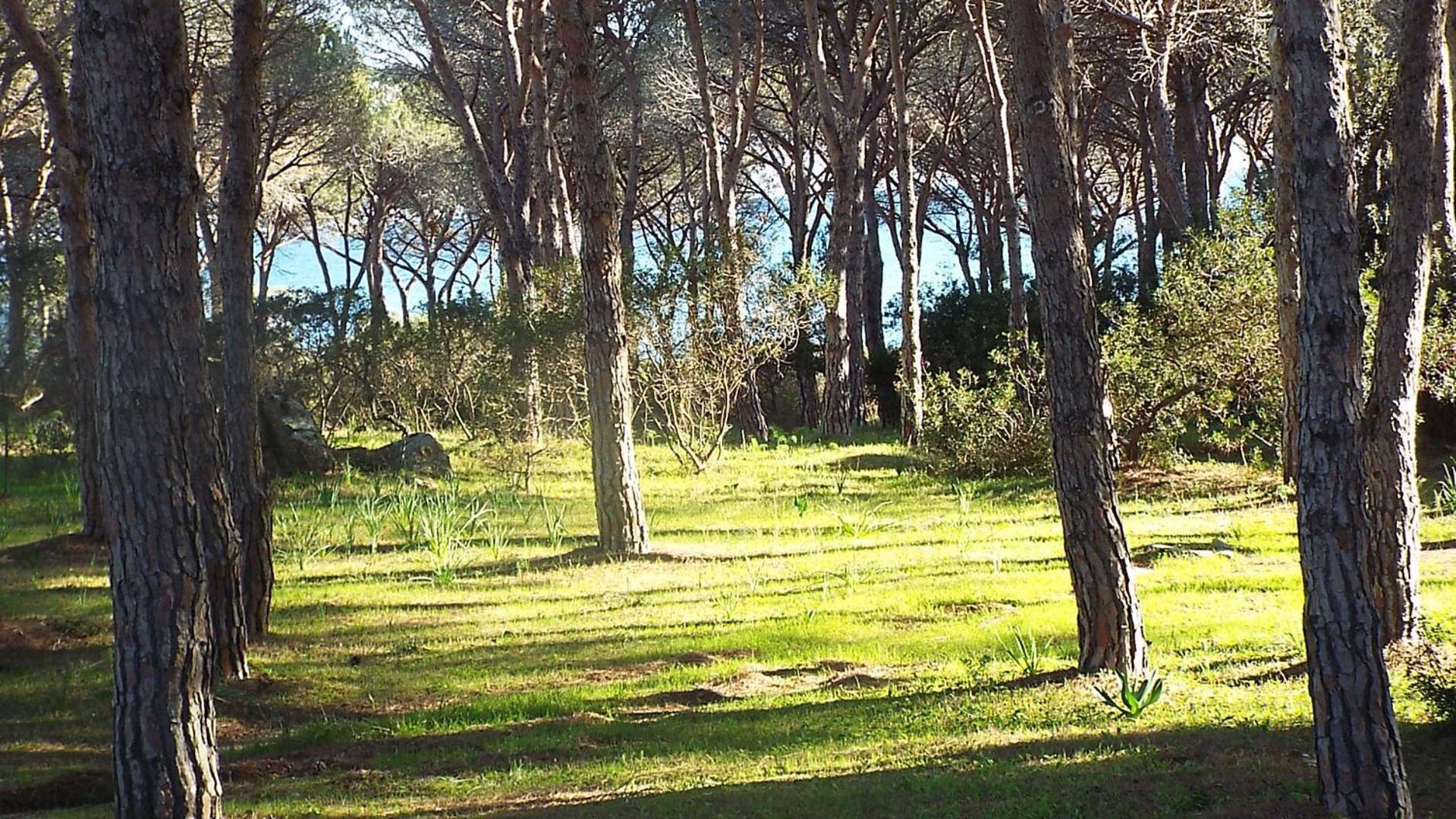 Villetta 1.2 Km Dalla Spiaggia Budoniaffitti Tanaunella Exterior photo